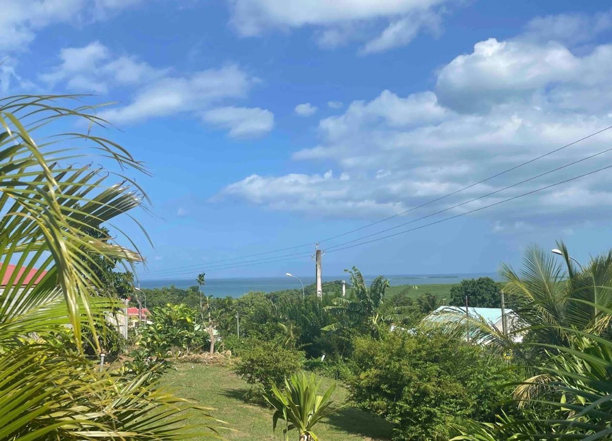 Bel Appartement T2 Avec Vue Sur Palmier Et Mer Sainte-Rose Eksteriør bilde